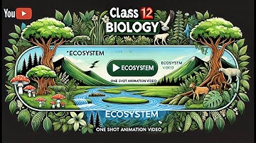 CBSE Klas 12 || Biologie || Ecosysteem || Animatie || in het Engels