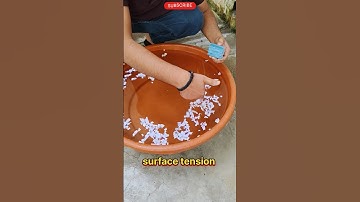 Magic 🪄 of Surface Tension #physics #science #experiment #surfacetension #shorts