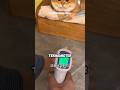 kucing kesayangan demam #kucinglucu #catlovers #kucinganggoralucudanimut #short