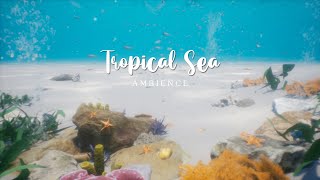Tropical Sea Ambience  relax to the sounds of water and bubbles