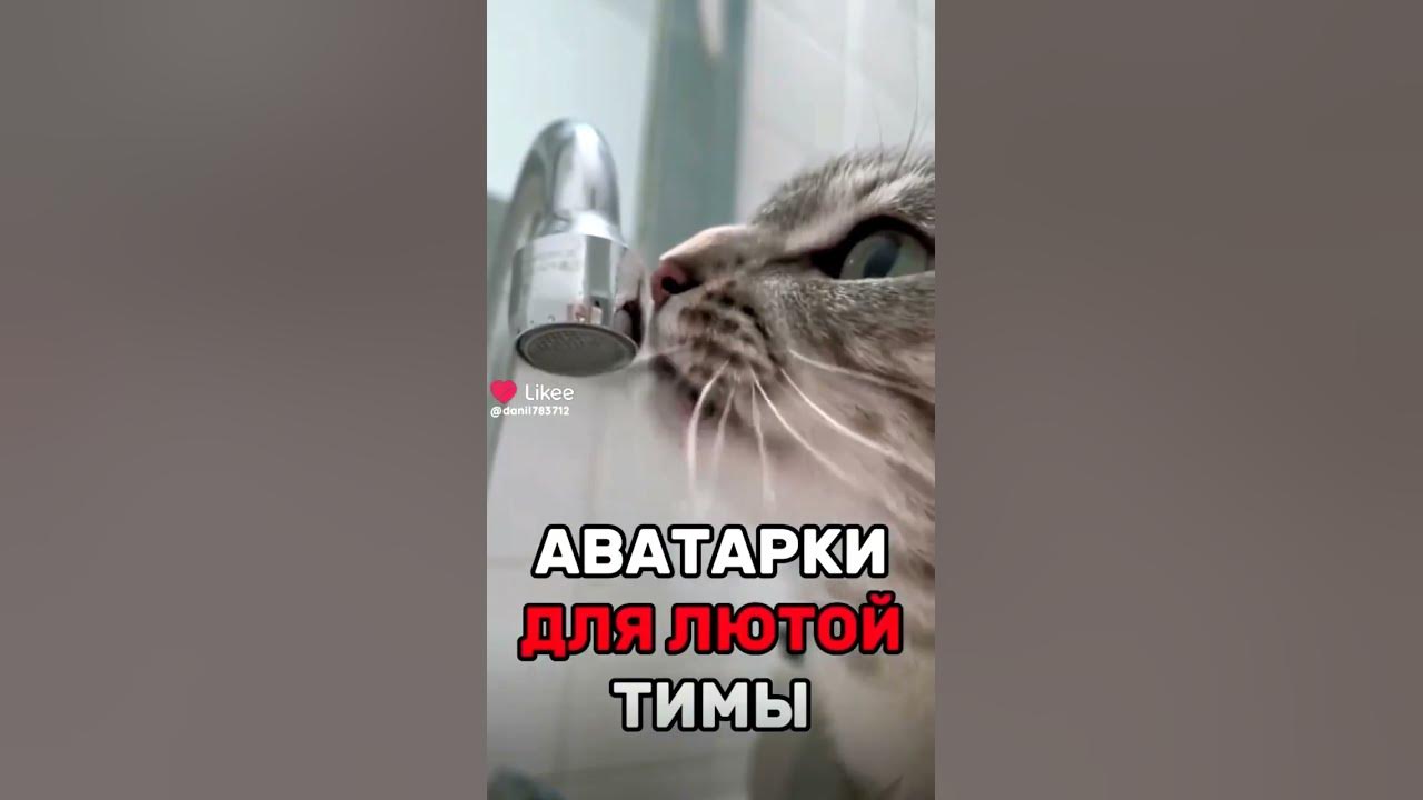 ава для лютой тимы +_+ - YouTube