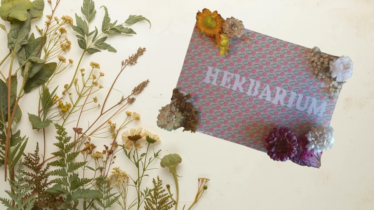 🌿 ¡Nuestros botánicos de 1º de ESO estrenan su primer herbario!