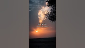 قل إني أخاف إن عصيت ربي عذاب يوم عظيم _ من أروع تلاوات القارئ صالح علي