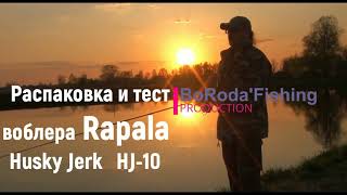 Обзор воблера Rapala HJ-10