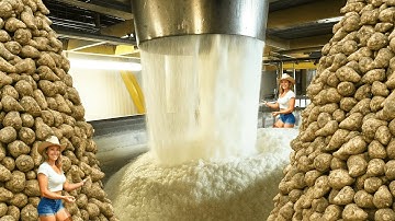 Hoe suiker wordt gemaakt – Ongelooflijke miljoenen tonnen suikerbietenteelt en -verwerking