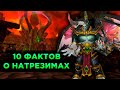 10 Фактов о Натрезимах в World of Warcraft