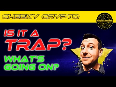 Has The Bear Market Started? Or is The Bull Run 2021 Still On? | Cheeky Crypto News Today