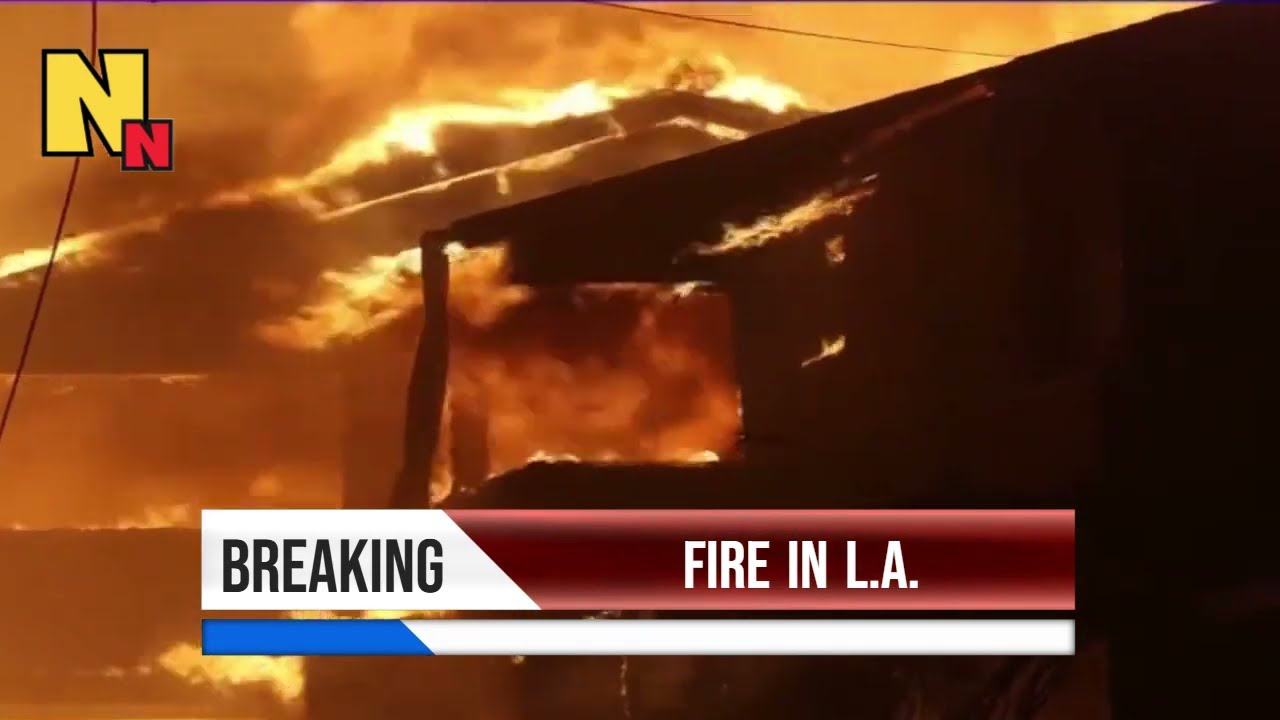 Devastating Wildfire in Los Angeles | Pacific Palisades Blaze Updates (January 2025)