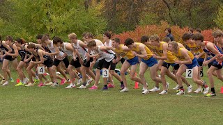 Local Runners Shine at Section 6AAA Cross Country