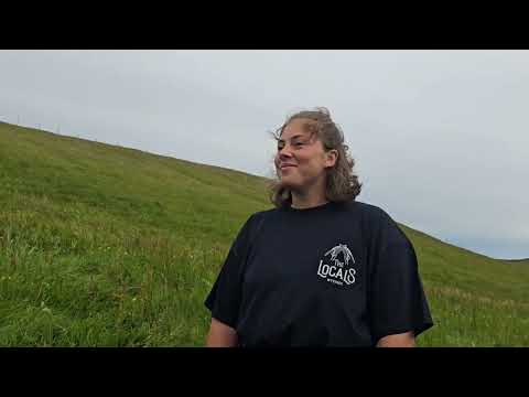 Puffins in Mykines, 15/07/25