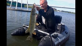 Strong Pike In Front Of My Appartment John Uilenberg