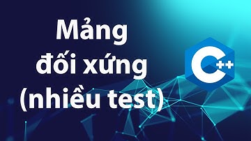 C++ Bài tập 4.8: Mảng đối xứng - nhiều bộ test case