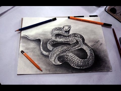 Desenho de cobra  Desenho Para Desenhar