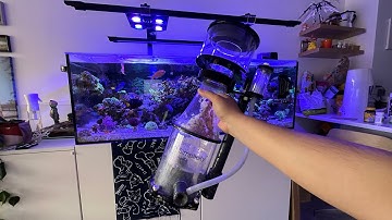 Simplicity Skimmer 240 DC - Reef Tank Aquarium 1 Year Review