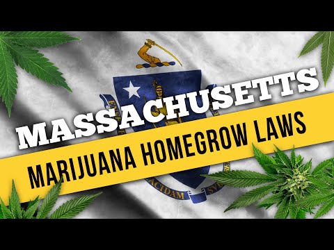 Massachusetts Marijuana Laws for Home Cultivation and Medical Use in 2021