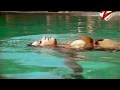 roshni chopra in bikini--hot