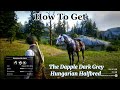 How To Get The Dapple Dark Grey Hungarian Halfbred In RDR2