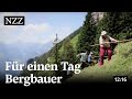 Für einen Tag Bergbauer - Wildheuen im Kanton Uri