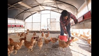 Meet Your Farmer: Caribe United Farm (Oglethorpe Co., GA)