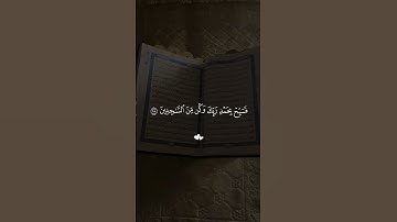 تلاوة فارس عباد #تلاوة_خاشعة #تلاوة_هادئة #قرآن #قران_كريم #صلوا_على_النبي #استغفر_الله #فلسطين