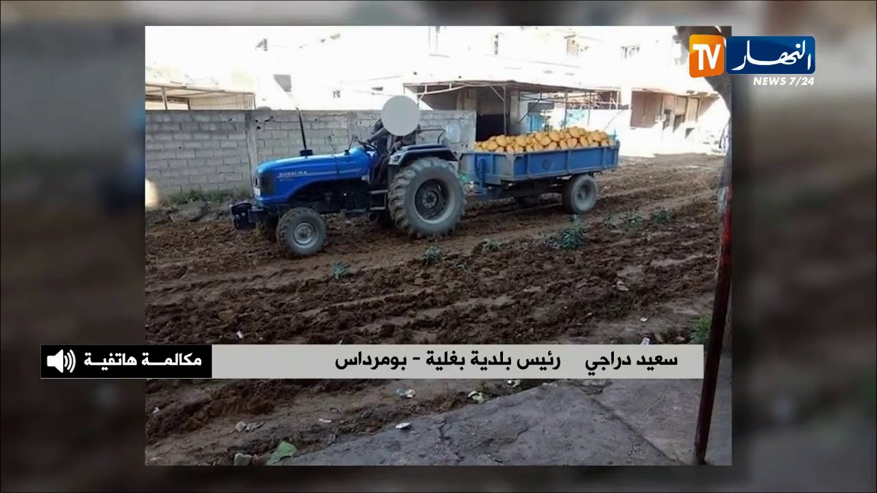 رئيس بلدية بغلية : 