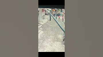 شبرا الخيمه الكلب المتوحش 