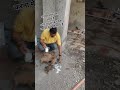 मनुष्य होना मेरा भाग्य है और पशुओ की सेवा करना मेरा सौभाग्य हैं