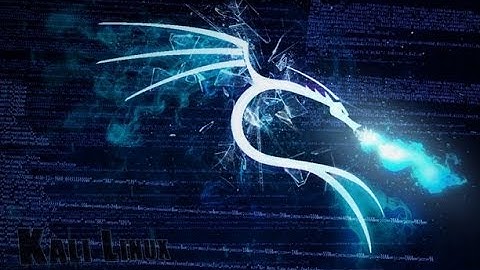Kali Linux Scapy Traceroute TCP DNS