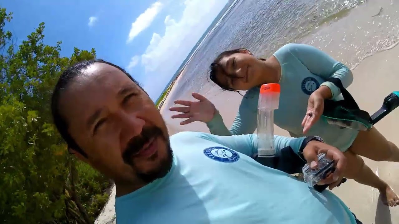 Adventure fishing errante