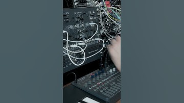 Forward Momentum Clip #synth #modular #eurorack #musicperformance #homestudio