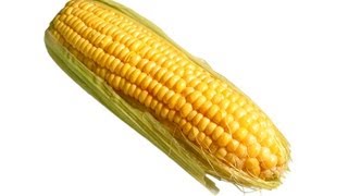 How to plant corn