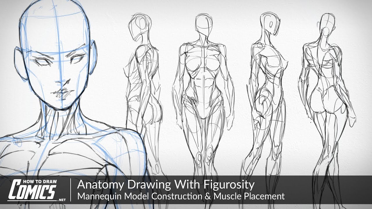 Human Figure Drawing Model