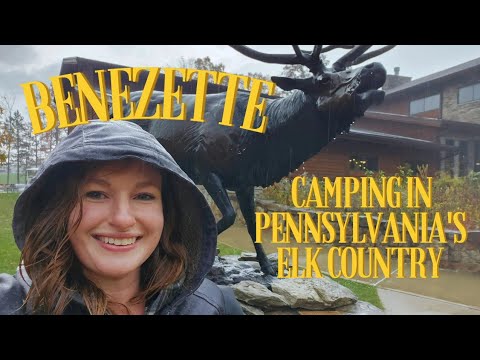 Camping in Elk country, the wild elk of Benezette...