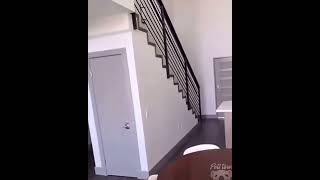 Unhappy Owner Needtosee Foryou Fyp Viral Shorts Xyzbca Cute Funny Rokib Khan