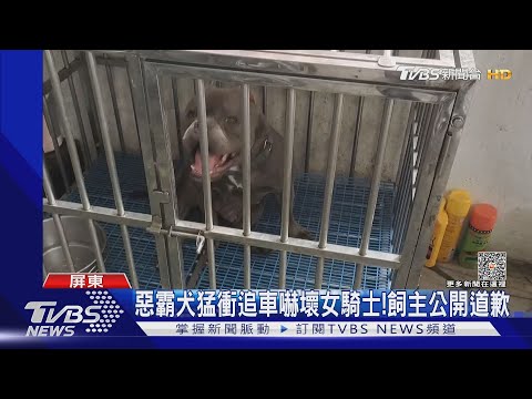 惡霸犬衝街猛追機車!女騎士嚇壞 飼主公開道歉｜TVBS新聞@TVBSNEWS02