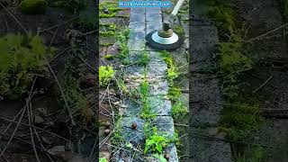 Steel Wire Brush Cutter Head Removes Rust & Weeds Like a Beast!