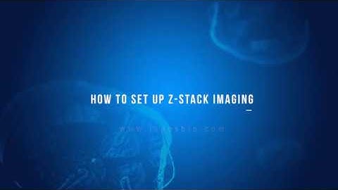 Z-stack: How to set up Z-stack imaging on the CELENA® S