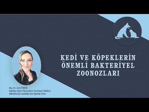 Kedi ve Köpeklerden İnsanlara Bulaşan Önemli Bakteriyel Hastalıklar