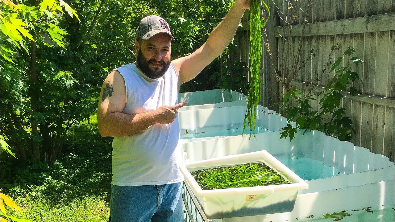Summer tubbing backyard containers