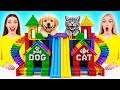 私たちはペットのための秘密の部屋を建てます | 金持ちの猫 vs 貧乏な犬 Candy DO