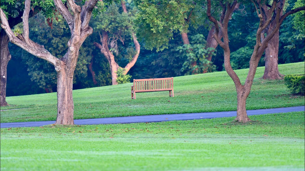 我與CT的二三事。朝聖、高雄果嶺自然公園