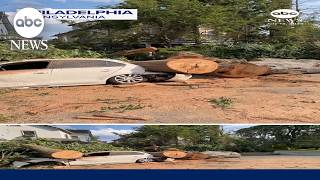 Downed trees fall onto roads and homes in Philadelphia