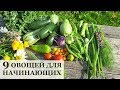 9 самых ПРОСТЫХ овощей для начинающих огородников!