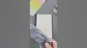 Amazon Find You Didn’t Know You Needed - Reuseable Notebook #shorts