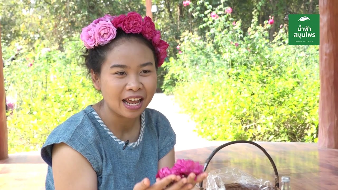 สวนกุหลาบมอญ บานได้ตลอดทั้งปี By ร้านน้ำฟ้าสมุนไพร