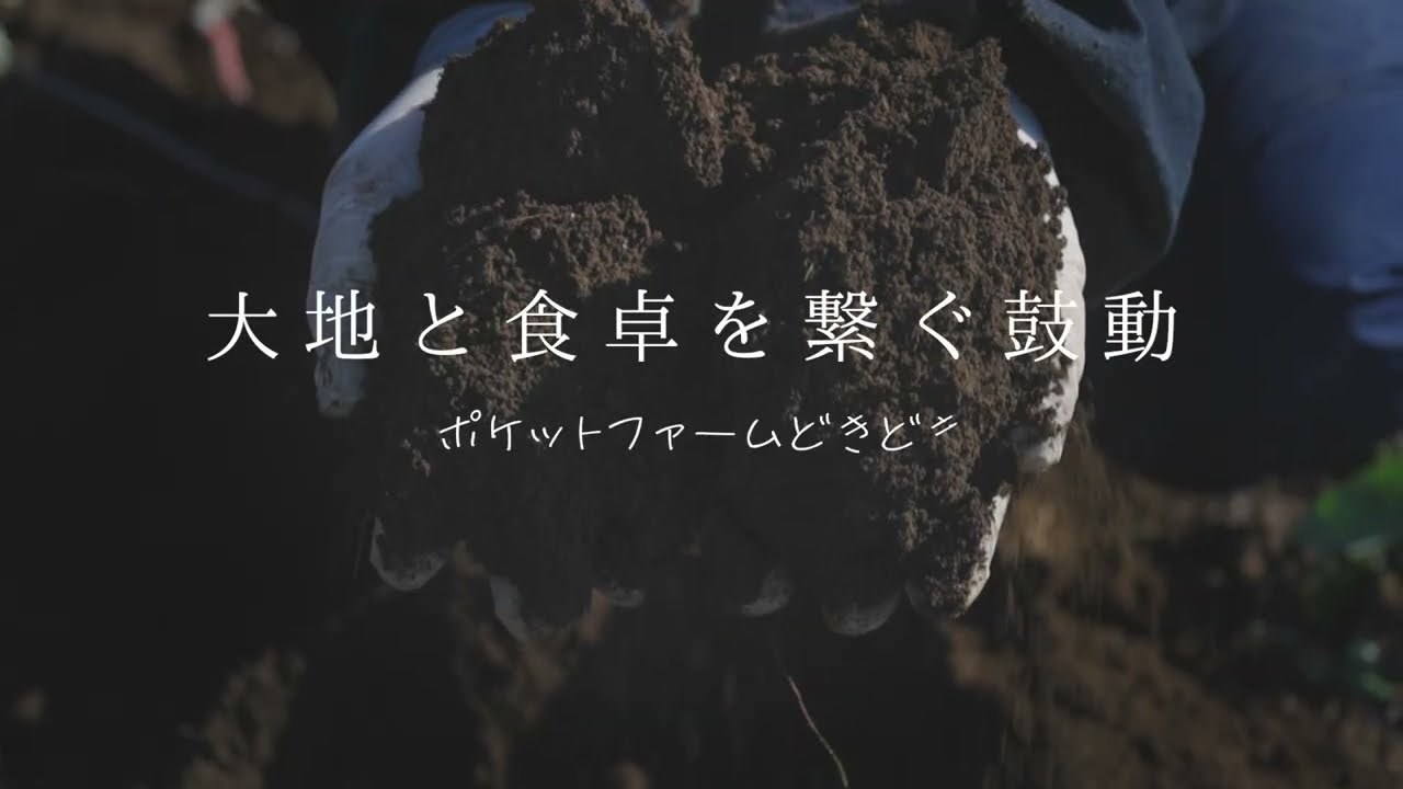 【四季を感じて楽しめる直売所】ポケットファームどきどきつくば牛久店