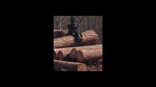 The Beginning of a Sawmill Business