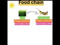 Food chain #kvspgtbiology  #neet #uptgtbiology