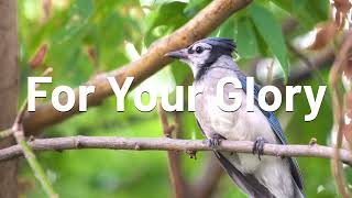 For Your Glory 2 | Jaye Thomas