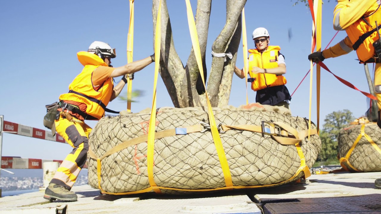 Enea GmbH – Floating on Air